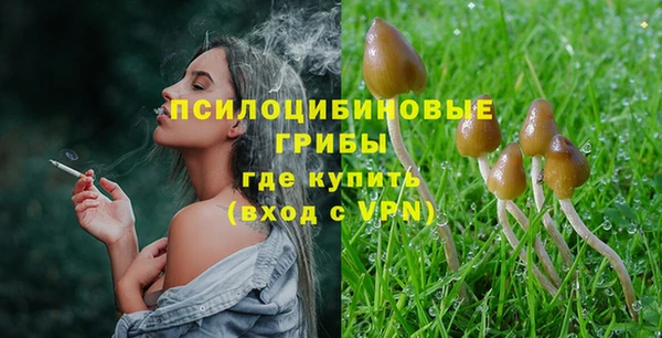 марки lsd Ельня