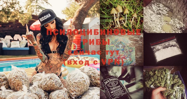 spice Елабуга