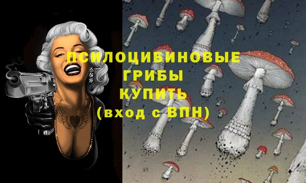 марки lsd Ельня