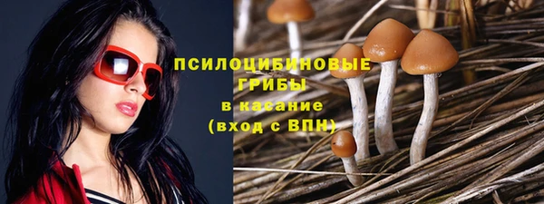 spice Елабуга