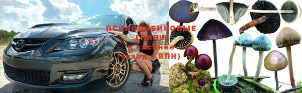 марки lsd Ельня